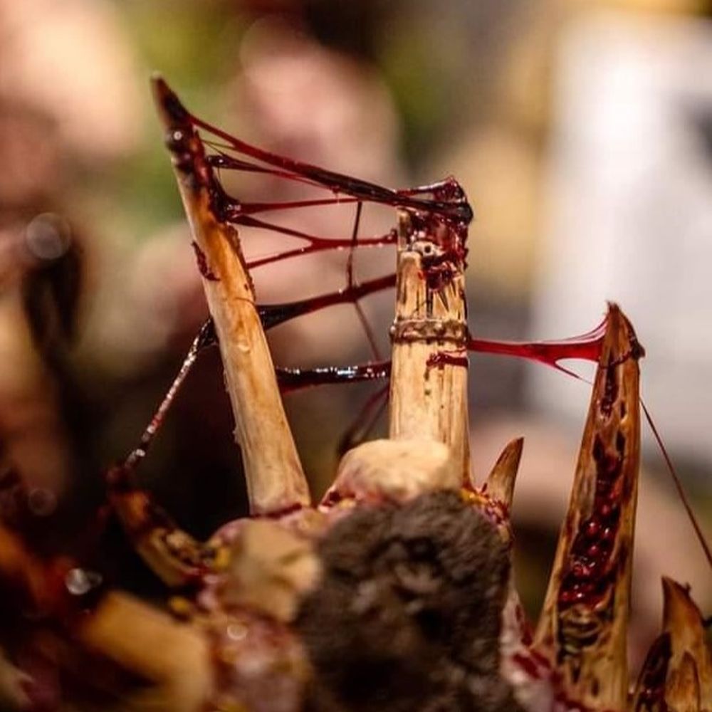 Dirty Down GORE 25ml