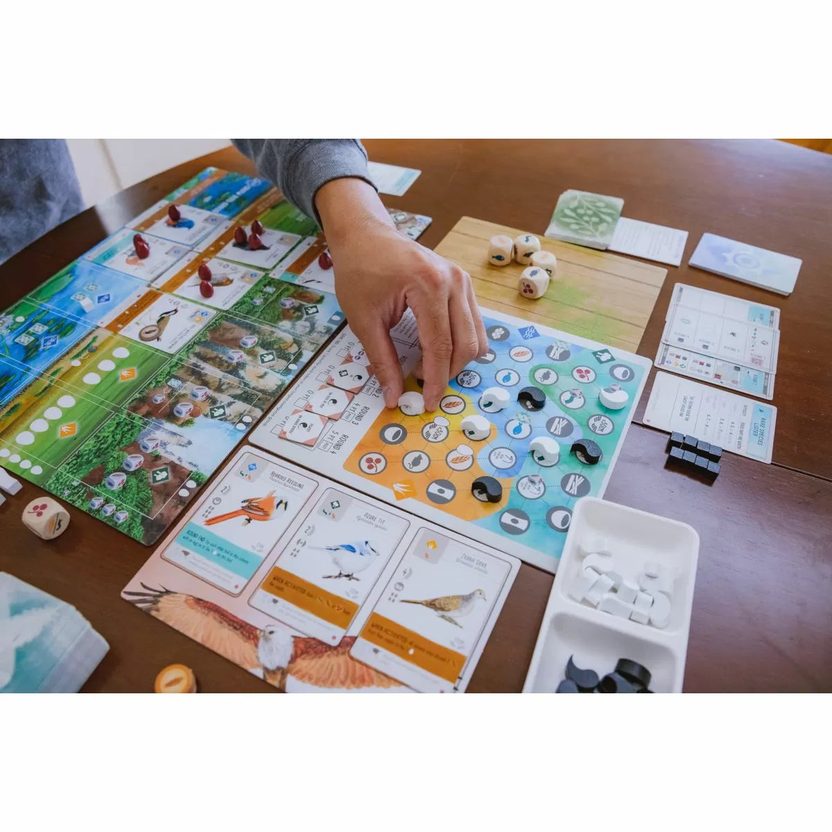 Wingspan Asia Expansion