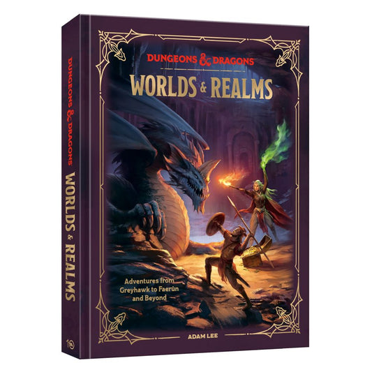 Cover of the book 'Dungeons & Dragons Worlds & Realms' featuring illustrated fantasy artwork with a dragon and magical characters.