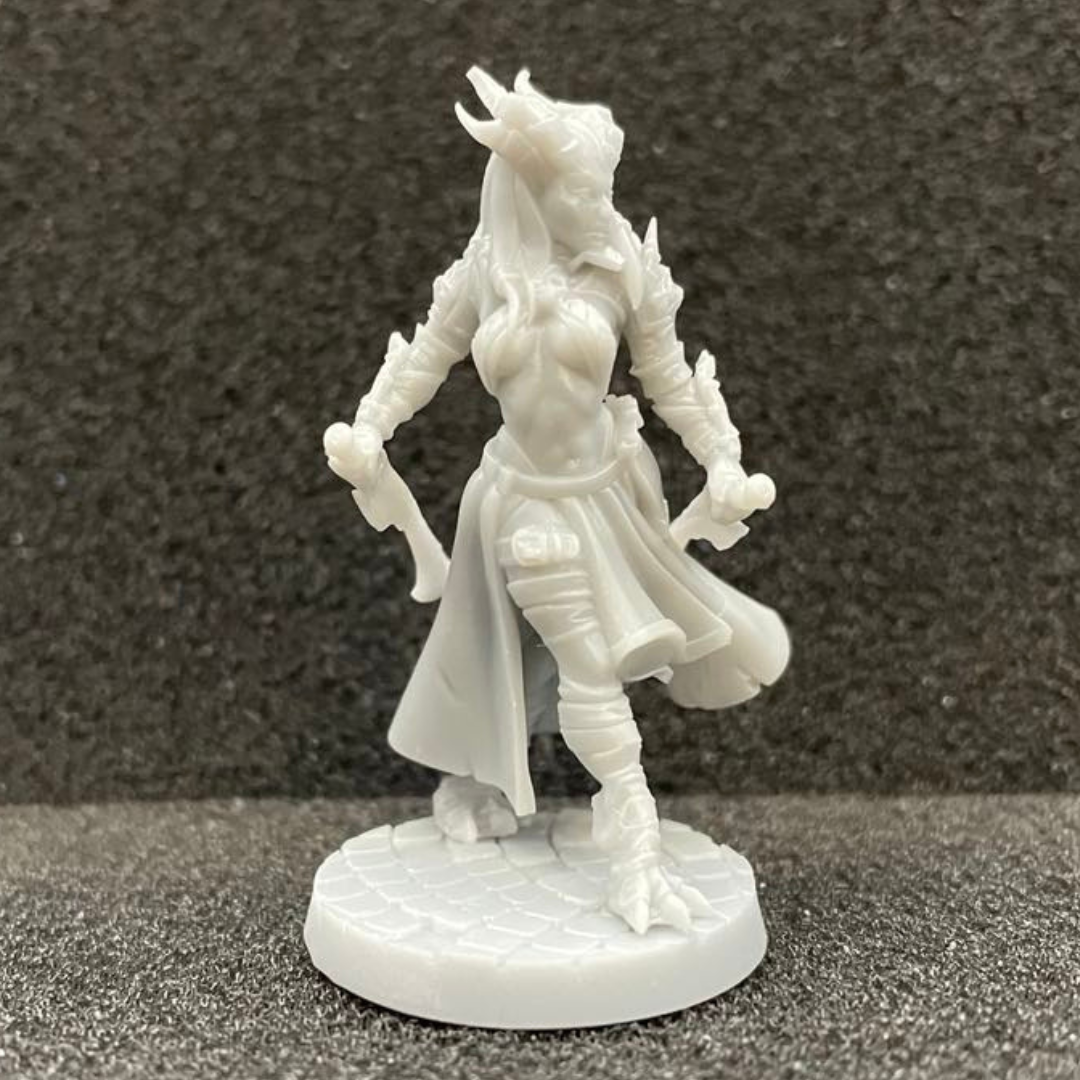 Dragonborn Rogue Female D&D Miniature