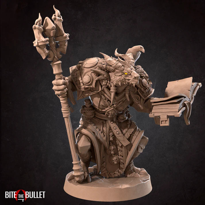 Dragonborn Wizard Male D&D Miniature