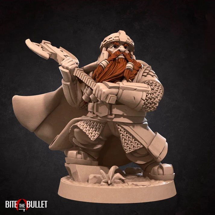 Dwarf Fighter Male D&D Miniature