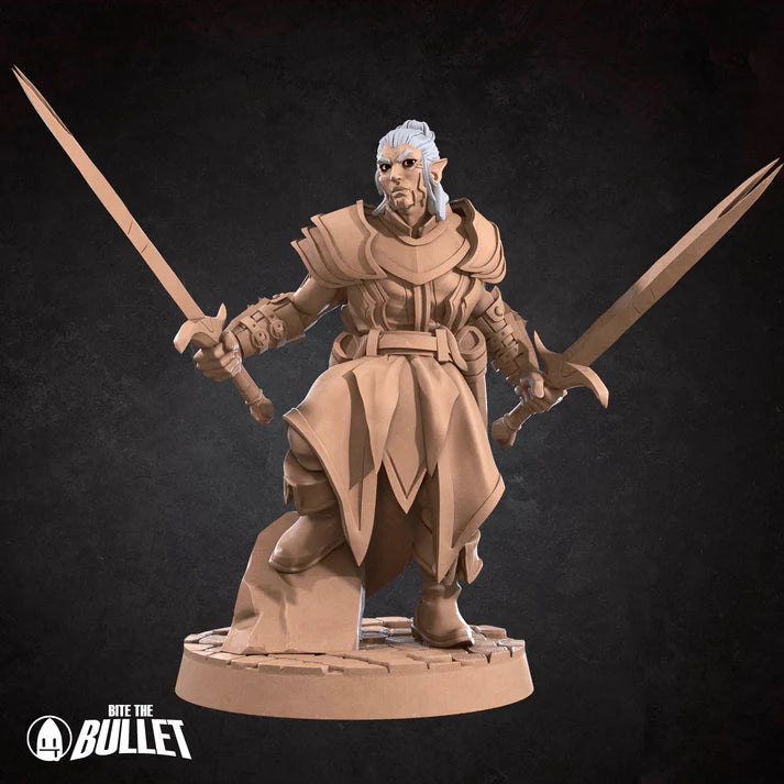 Elf Champion Male D&D Miniature