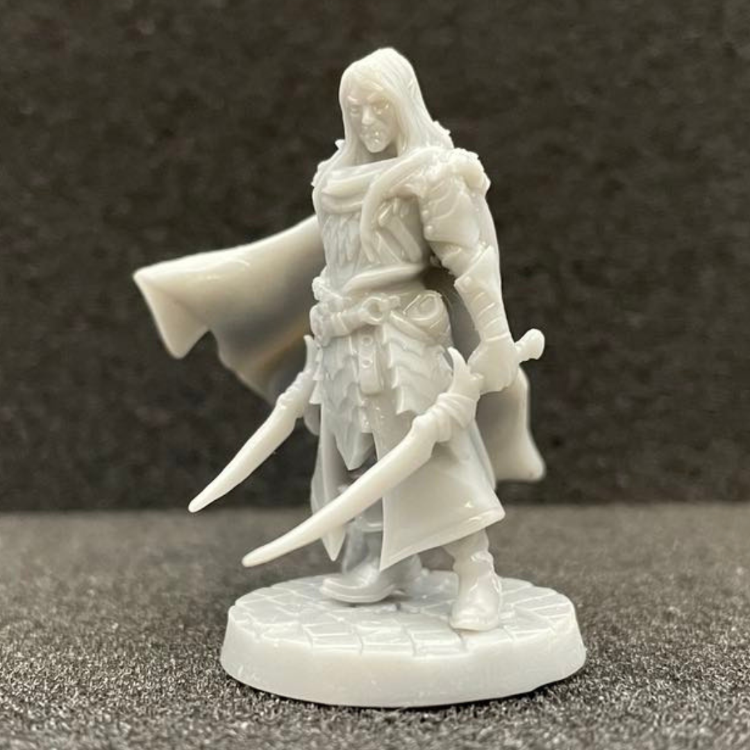 Elf Fighter Male (dual wielding) D&D Miniature