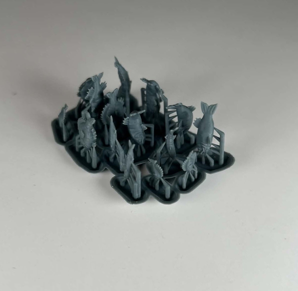 Fish Basing Bits