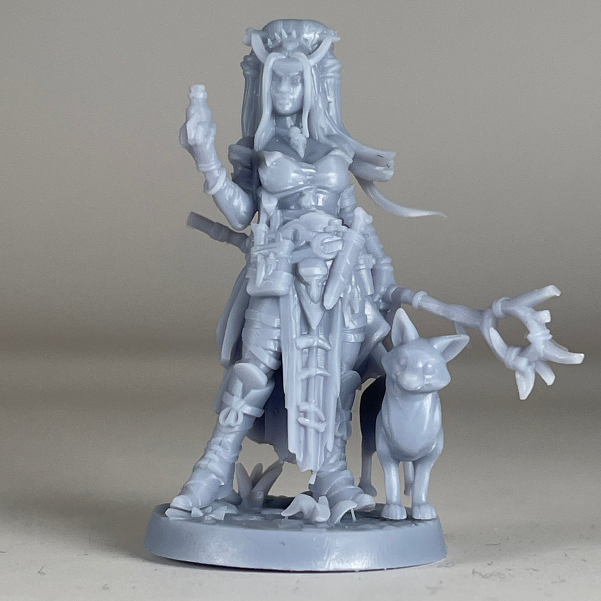 Human Witch Female D&D Miniature