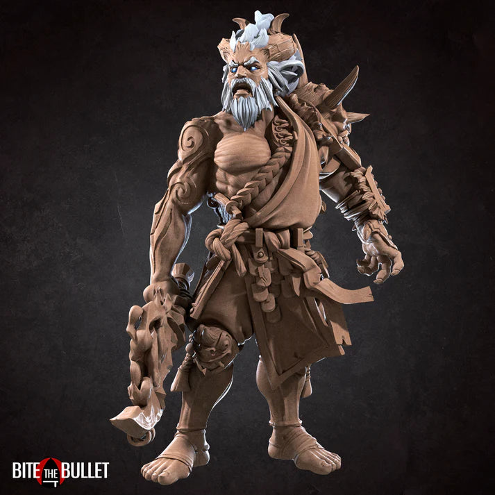 Genasi Barbarian Male D&D Miniature