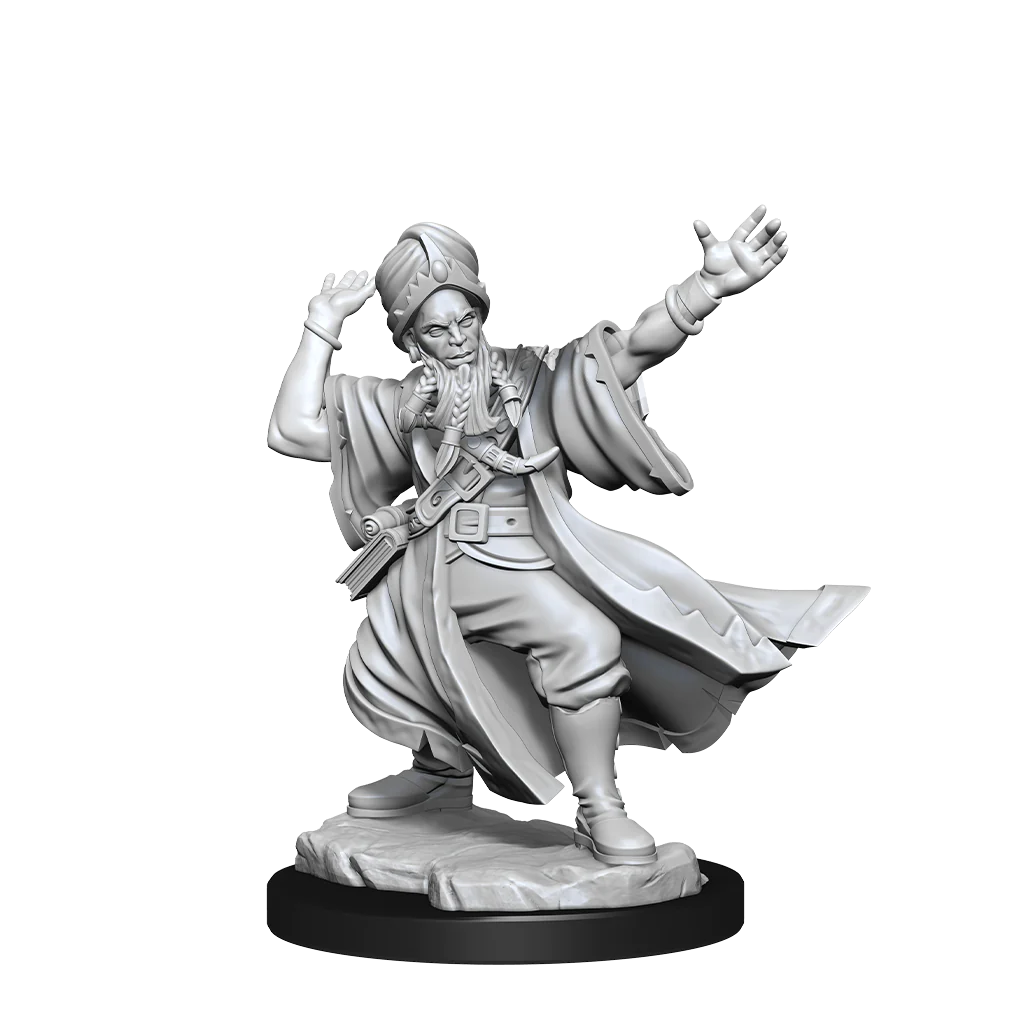 D&D Frameworks Human Wizard Male