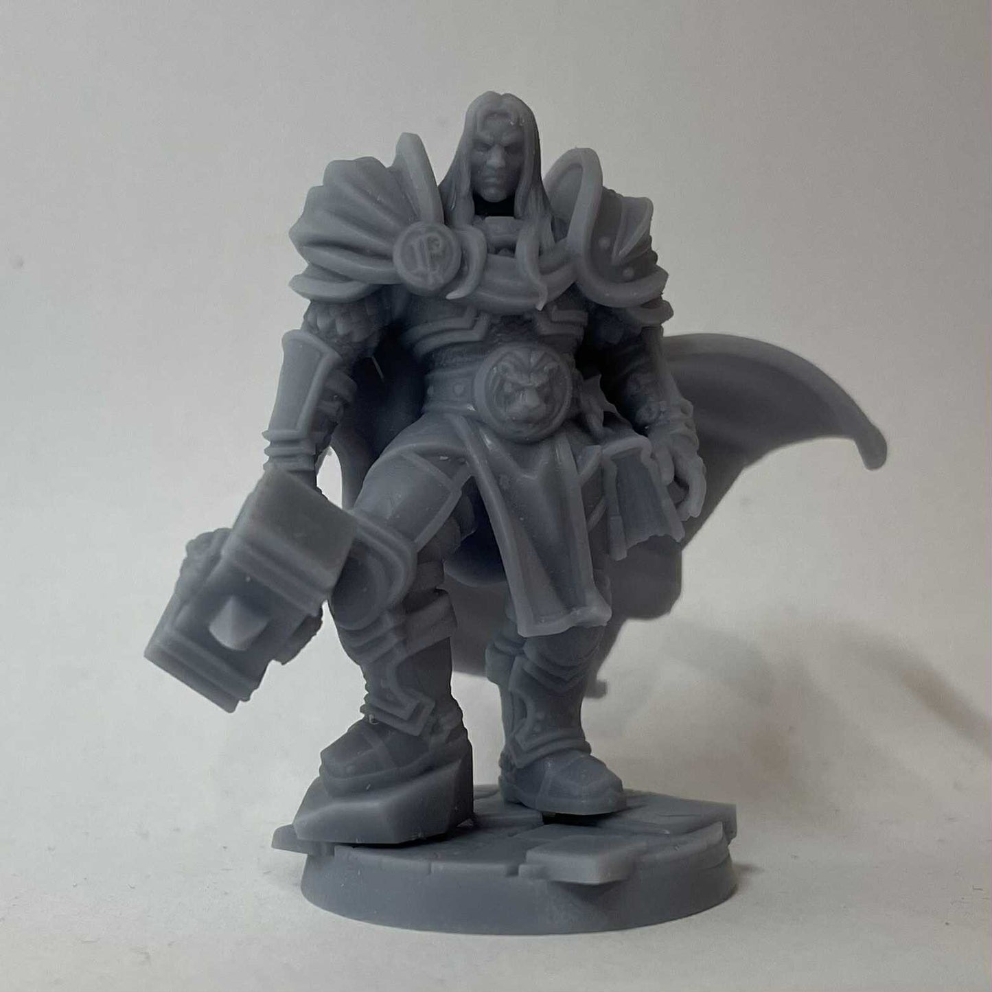 Human Paladin Male (Hammer) D&D Miniature