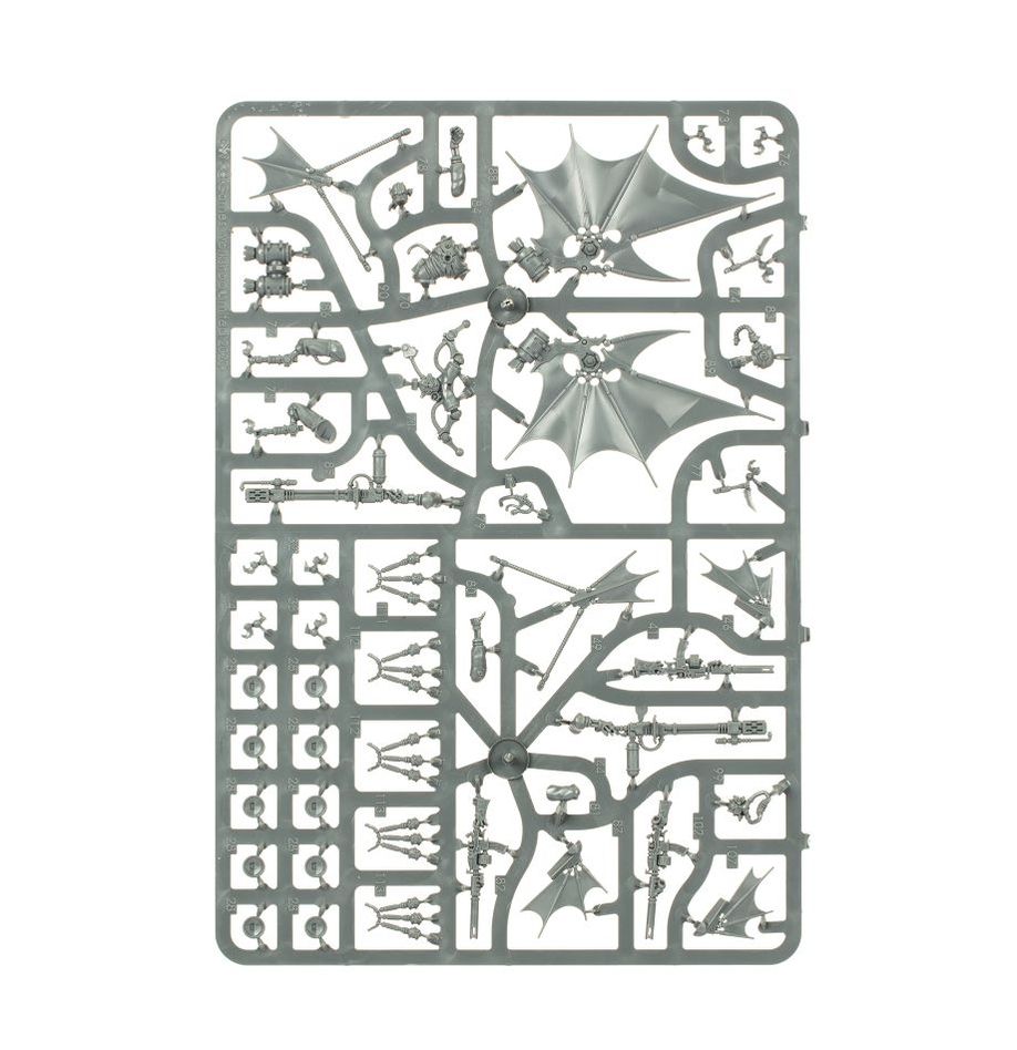 Pteraxii