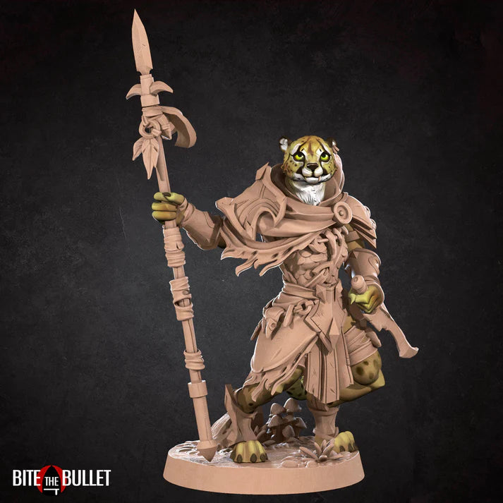 Tabaxi Ranger Male D&D Miniature