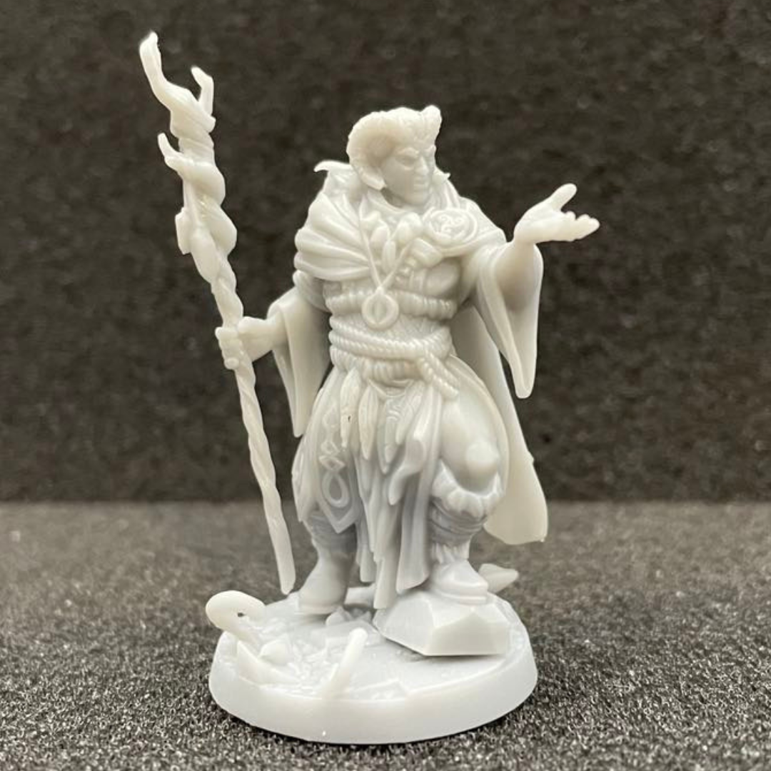 Tiefling Druid Male D&D Miniature