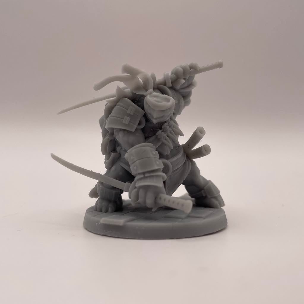Tortle Fighter Male (Leo) D&D Miniature