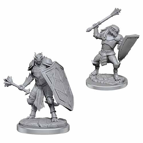 Dragonborn Clerics