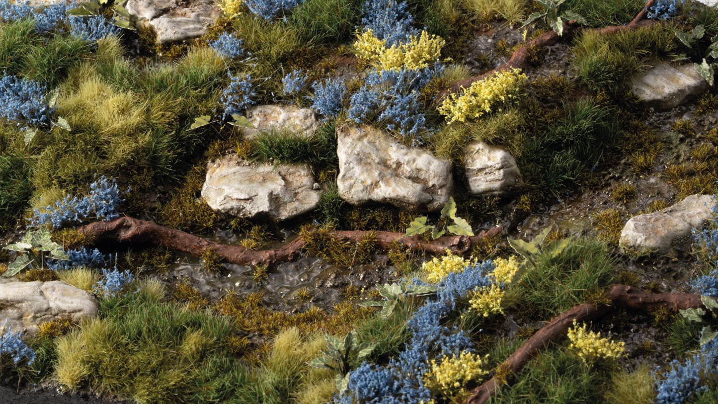 Bluebeard Flowers - Gamers Grass