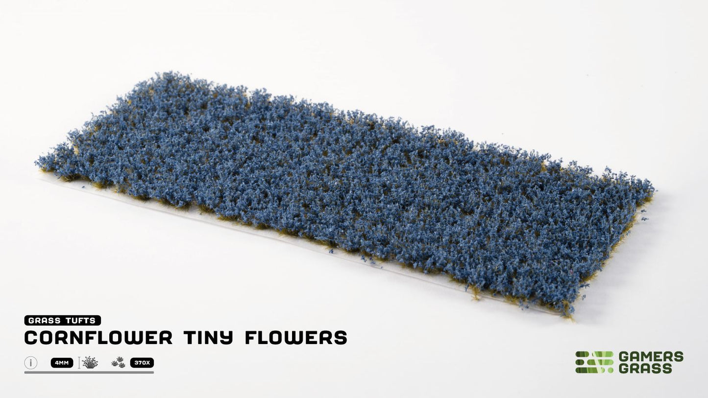 Cornflower Tiny Flowers - Gamers Grass