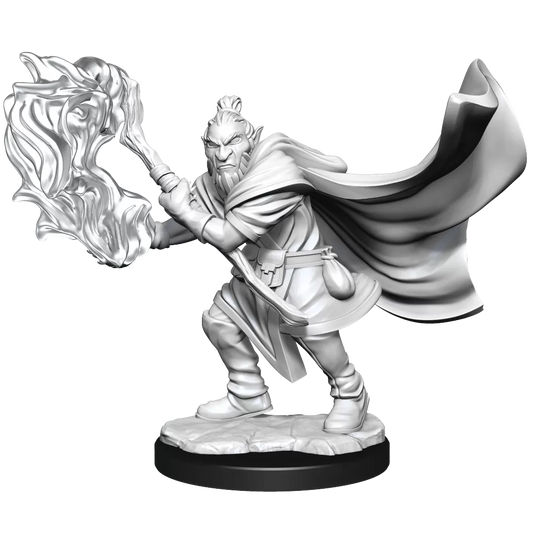 Hobgoblin Wizard and Druid Male