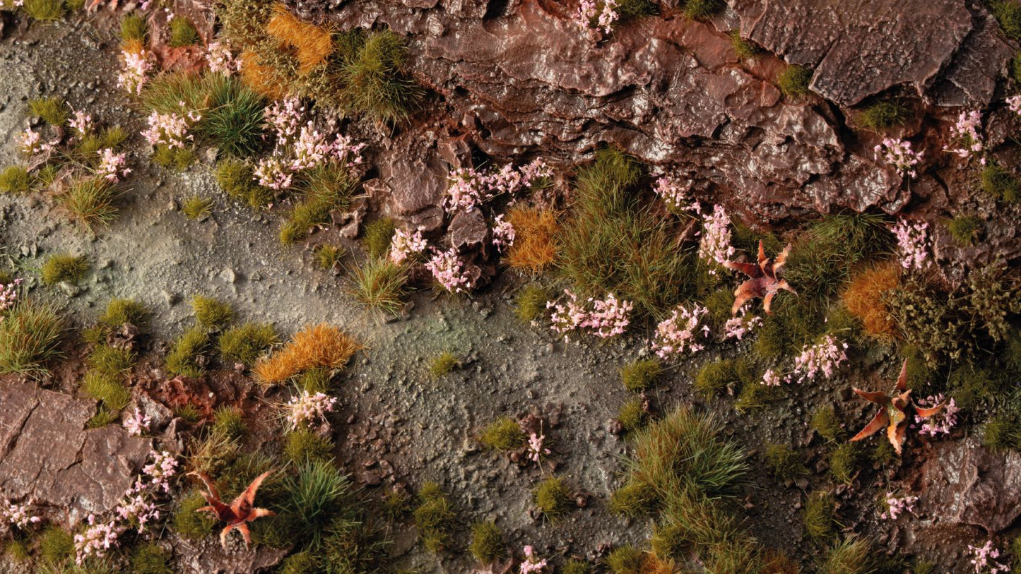 Pink Orchid Tiny Flowers - Gamers Grass