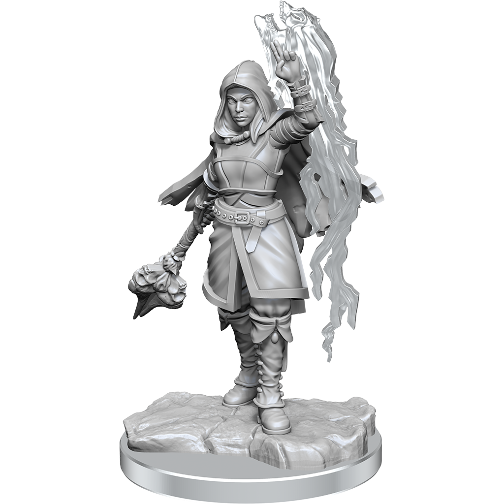 Half-Elf Warlock