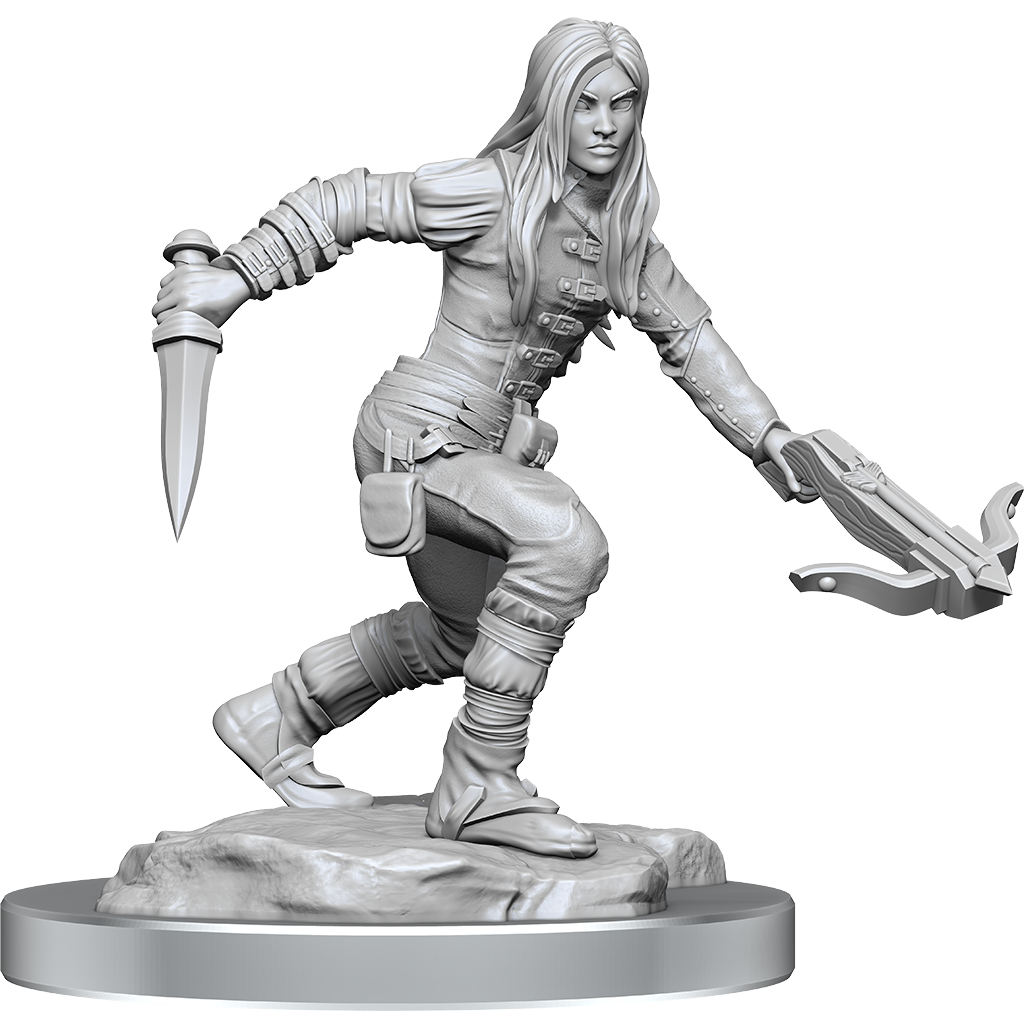 Half-Elf Rogue Female (90485)