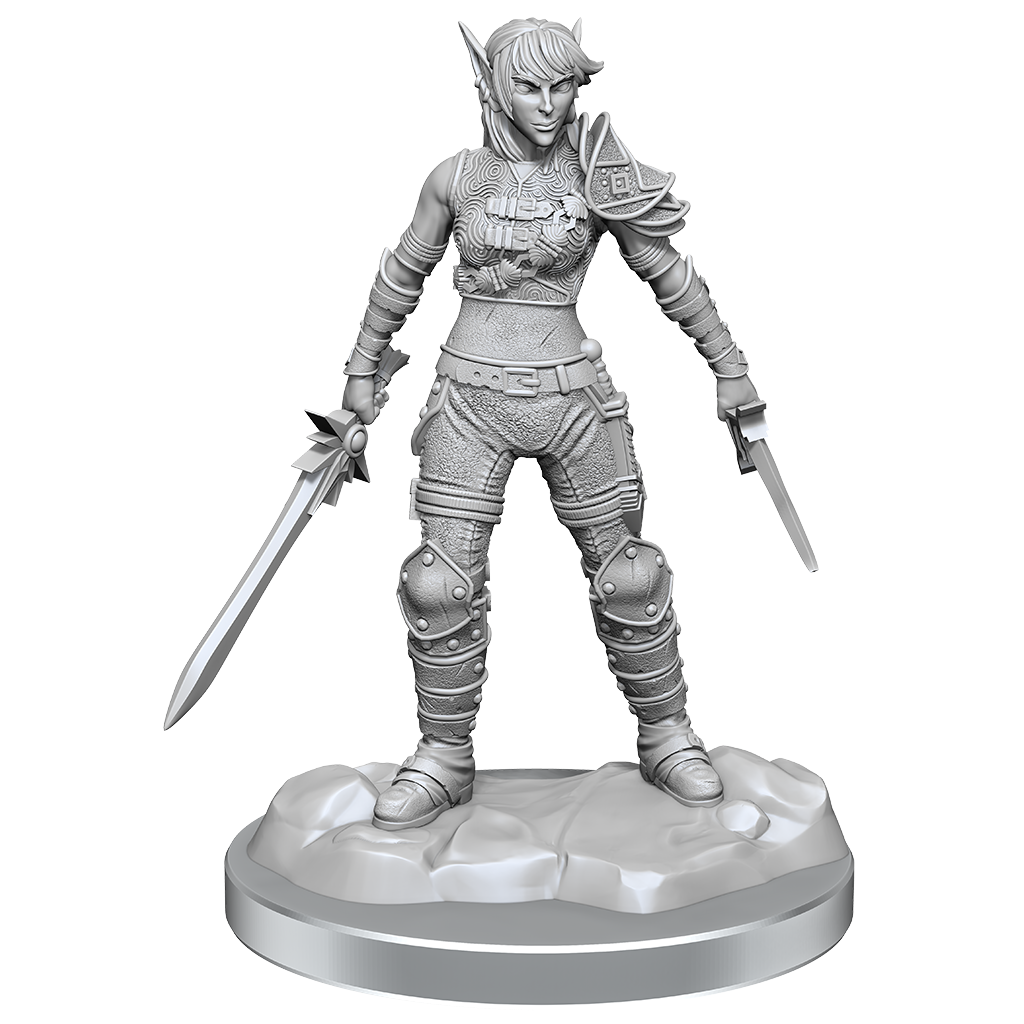 Elf Rogue & Half-Elf Rogue Protege