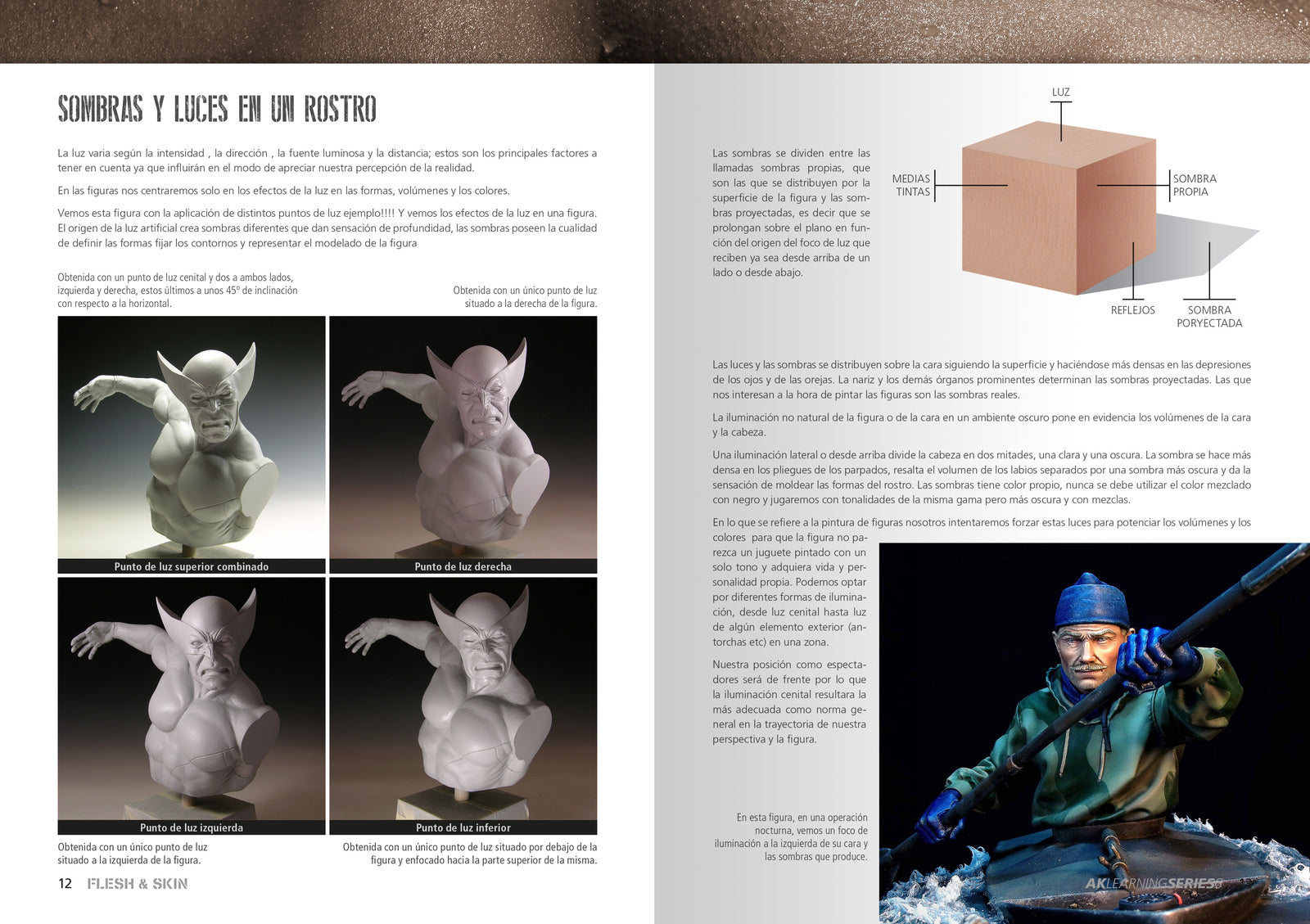 AK-241 Flesh and Skin