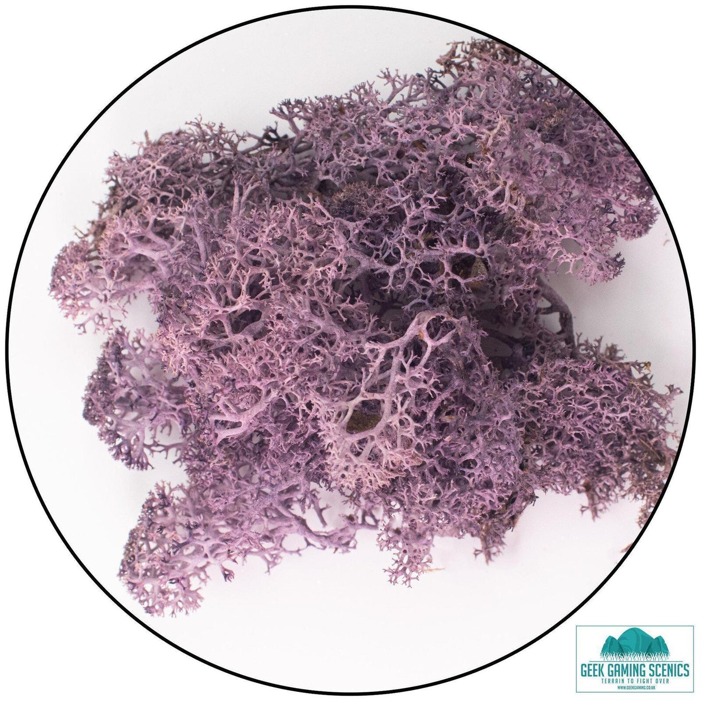 Aubergine Purple