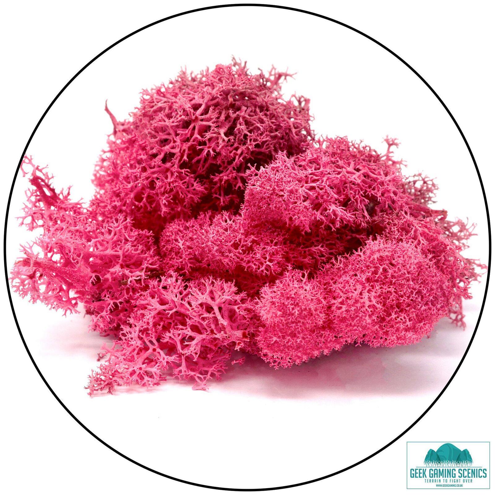 Fuschia