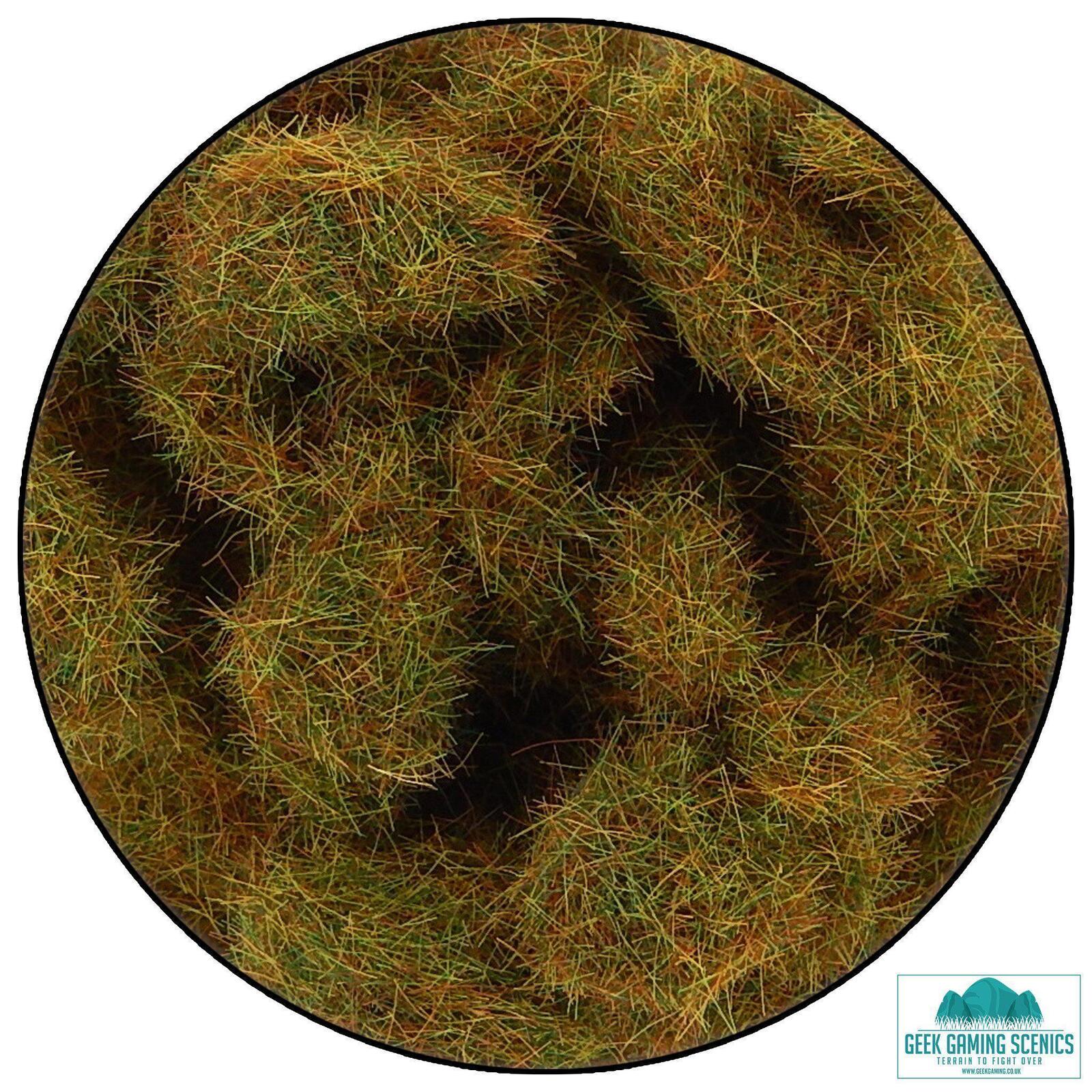 6mm Autumn