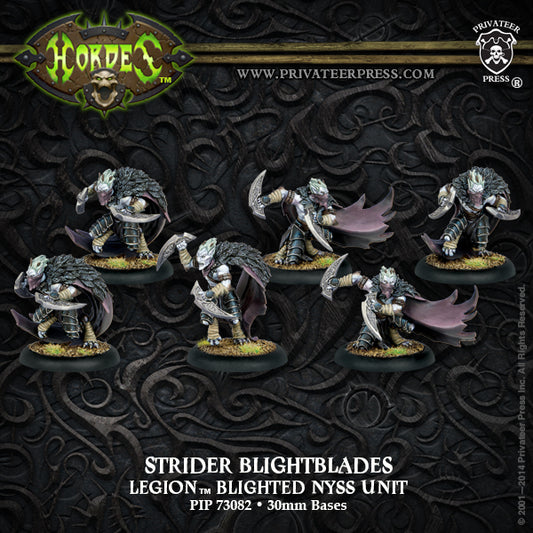 Strider Blightblades / Rangers Unit (box)