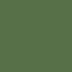079 Golden Olive