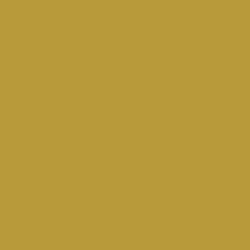 755 Polished Gold