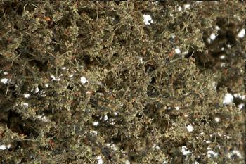 Dead Fine Leaf Foliage