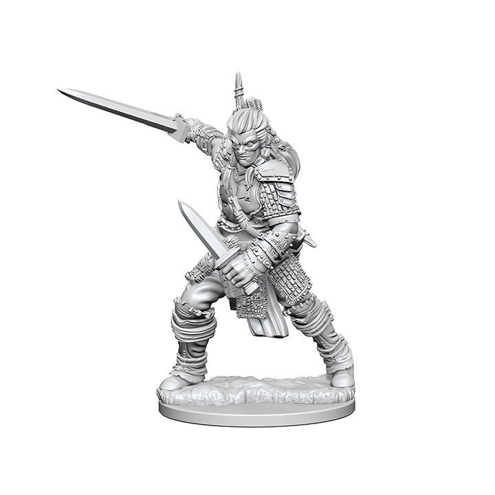 Human Male Fighter