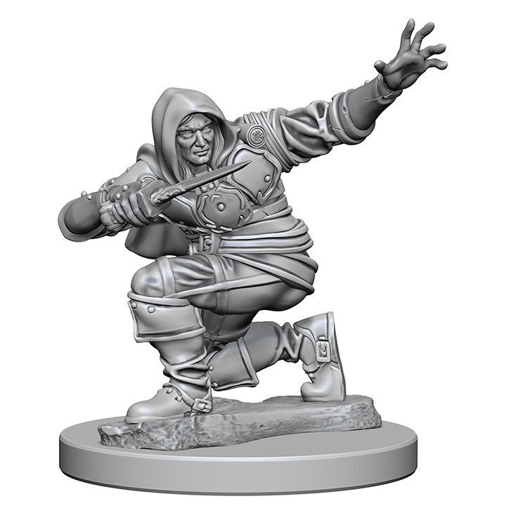 Human Male Rogue