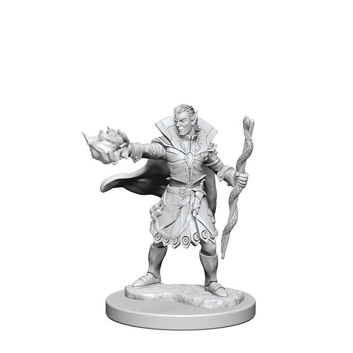 Elf Male Sorcerer