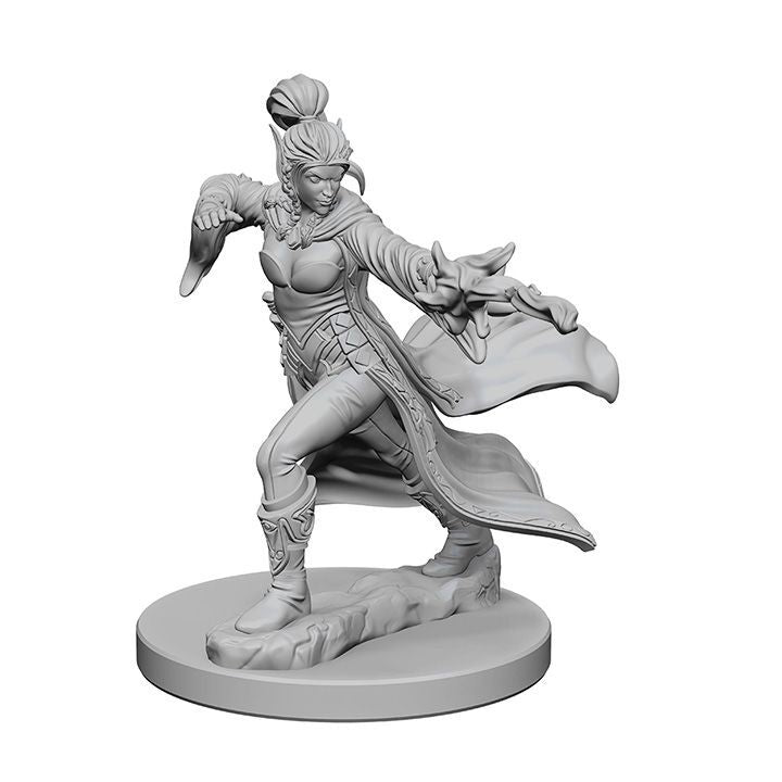 Elf Female Sorcerer