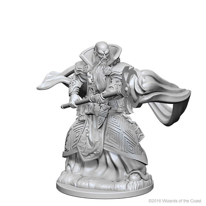 Human Male Wizard