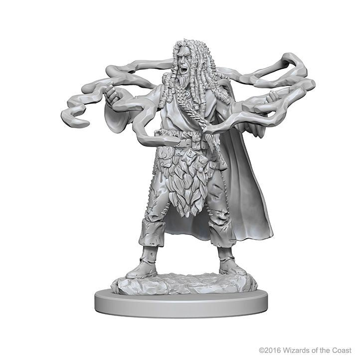 Human Male Sorcerer