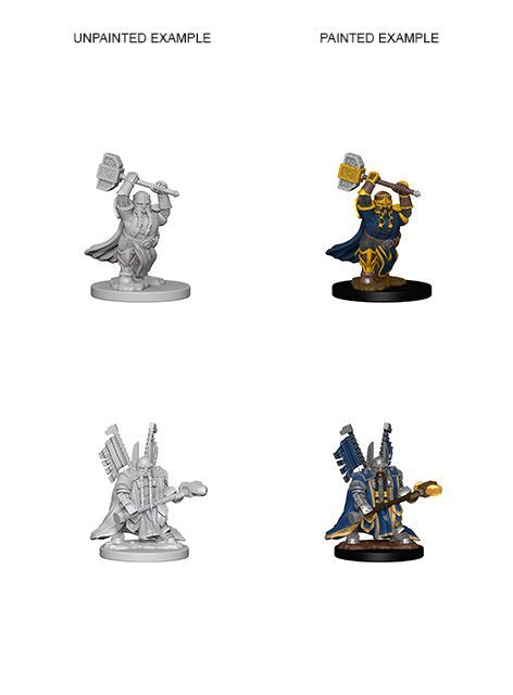 Dwarf Male Paladin
