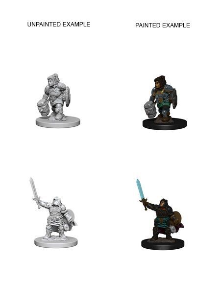 Dwarf Female Paladin