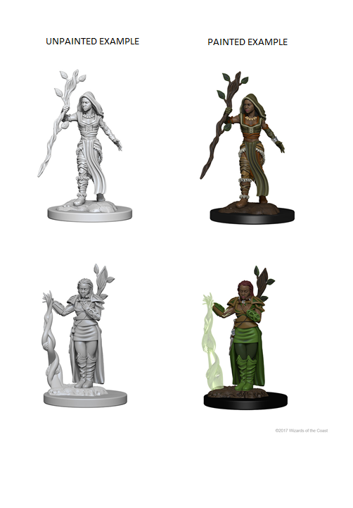 Human Female Druid