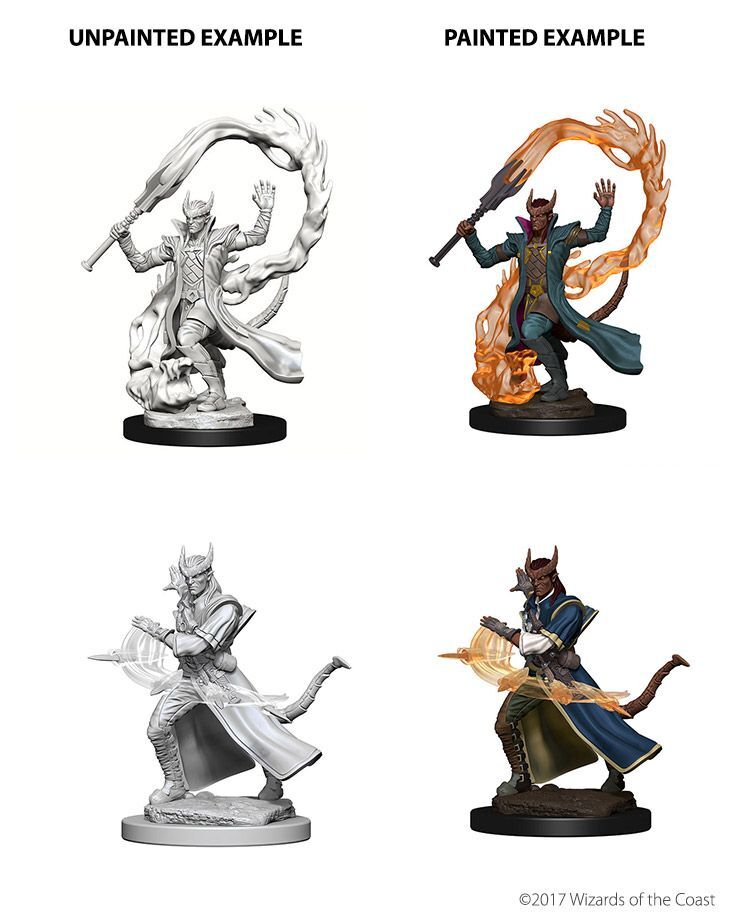 Tiefling Male Sorcerer