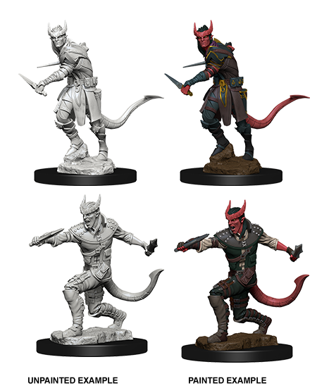 Tiefling Male Rogue