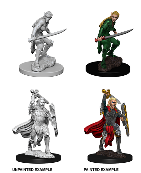 Female Elf Fighter