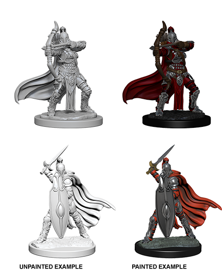 Female Knights / Gray Maidens