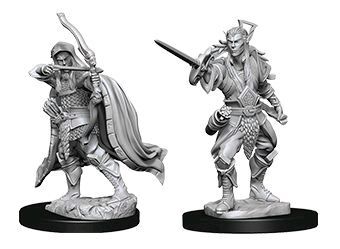 Male Elf Rogue