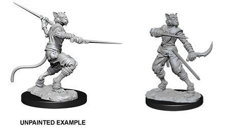 Male Tabaxi Rogue