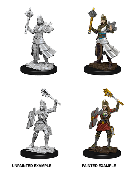 Female Human Cleric