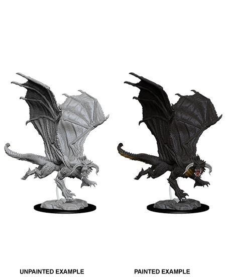 Young Black Dragon